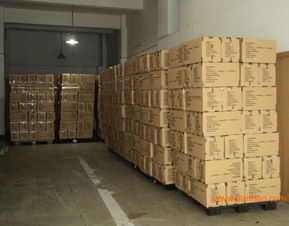 普貨出口物流全攻略 從大陸到中港的貨運流程與成本解析